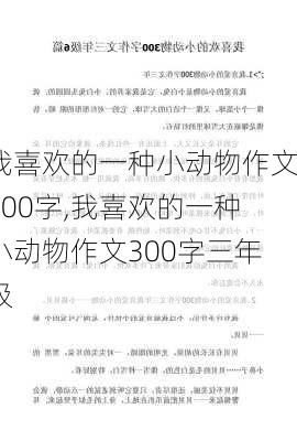 我喜欢的一种小动物作文300字,我喜欢的一种小动物作文300字三年级