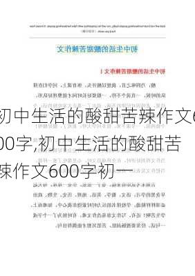 初中生活的酸甜苦辣作文600字,初中生活的酸甜苦辣作文600字初一