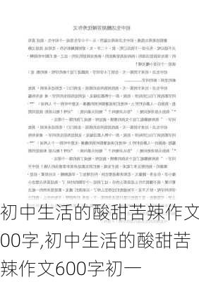 初中生活的酸甜苦辣作文600字,初中生活的酸甜苦辣作文600字初一