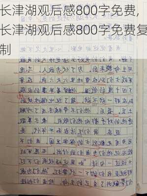 长津湖观后感800字免费,长津湖观后感800字免费复制